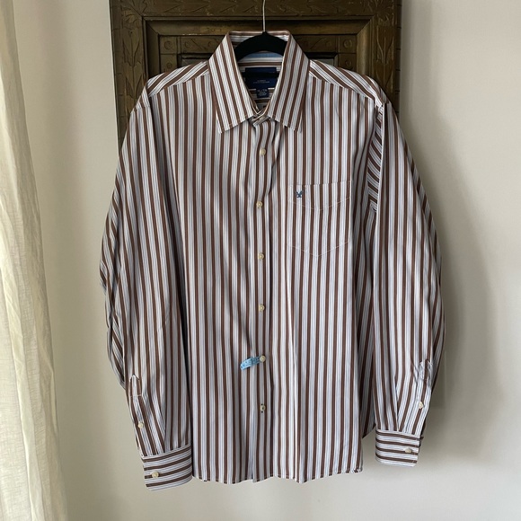 American Eagle Outfitters Men’s Brown Blue and White Striped Button Down - Picture 1 of 6